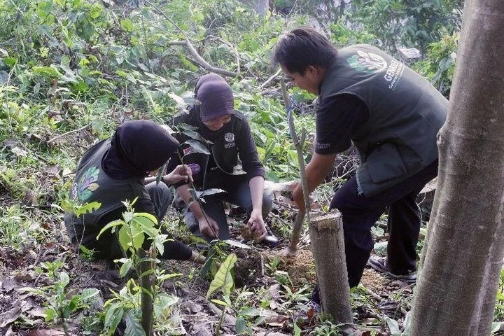 Dari Himba Etam untuk Indonesia: Kementerian Kehutanan Siapkan Forest Heroes Muda Menjaga Masa Depan Hutan Dari Himba Etam untuk Indonesia: Kementerian Kehutanan Siapkan Forest Heroes Muda Menjaga Masa Depan Hutan Di tengah pembangunan Ibu Kota Nusantara (IKN), Kementerian Kehutanan menegaskan bahwa masa depan hutan Indonesia tidak hanya ditentukan oleh kebijakan pemerintah ataupun kemajuan teknologi, tetapi juga oleh kualitas generasi mudanya. Melalui Forest Youthverse Summit 2026 bertema "Rising Young Guardian of Himba Etam: Membangun Generasi Muda Penjaga Hutan Melalui Aksi Nyata", Kementerian Kehutanan menyiapkan generasi muda sebagai Green Leaders, Green Communicators, dan Forest Heroes yang siap menjadi penggerak pelestarian hutan Indonesia. Kegiatan yang diselenggarakan oleh Pusat Pengembangan Generasi Pelestari Hutan (Pusgenri), Badan Penyuluhan dan Pengembangan SDM Kementerian Kehutanan berkolaborasi dengan Balai P2SDM Wilayah V Samarinda pada tanggal 14–15 Juli 2026 merupakan puncak rangkaian pembinaan Forest Youthverse yang sebelumnya diawali melalui Mentoring Class dan Coaching Class.... https://siaran-berita.com/kementerian-kehutanan-siapkan-forest-heroes/ Dari Himba Etam untuk Indonesia: Kementerian Kehutanan Siapkan Forest Heroes Muda Menjaga Masa Depan Hutan Dari Himba Etam untuk Indonesia: Kementerian Kehutanan Siapkan Forest Heroes Muda Menjaga Masa Depan Hutan Di tengah pembangunan Ibu Kota Nusantara (IKN), Kementerian Kehutanan menegaskan bahwa masa depan hutan Indonesia tidak hanya ditentukan oleh kebijakan pemerintah ataupun kemajuan teknologi, tetapi juga oleh kualitas generasi mudanya. Melalui Forest Youthverse Summit 2026 bertema "Rising Young Guardian of Himba Etam: Membangun Generasi Muda Penjaga Hutan Melalui Aksi Nyata", Kementerian Kehutanan menyiapkan generasi muda sebagai Green Leaders, Green Communicators, dan Forest Heroes yang siap menjadi penggerak pelestarian hutan Indonesia. Kegiatan yang diselenggarakan oleh Pusat Pengembangan Generasi Pelestari Hutan (Pusgenri), Badan Penyuluhan dan Pengembangan SDM Kementerian Kehutanan berkolaborasi dengan Balai P2SDM Wilayah V Samarinda pada tanggal 14–15 Juli 2026 merupakan puncak rangkaian pembinaan Forest Youthverse yang sebelumnya diawali melalui Mentoring Class dan Coaching Class.... https://siaran-berita.com/kementerian-kehutanan-siapkan-forest-heroes/